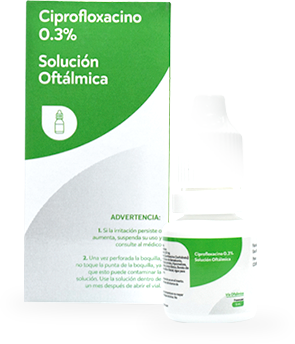 Producto 2